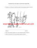 Download Caterpillar C32 PETROLEUM ENGINE Service Repair Manual SMP